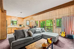 203 Shagbark, Beech Mountain, NC 28604 - Photo 5