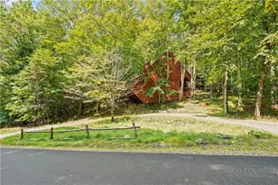 203 Shagbark, Beech Mountain, NC 28604 - Photo 19
