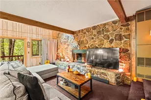 203 Shagbark, Beech Mountain, NC 28604 - Photo 3