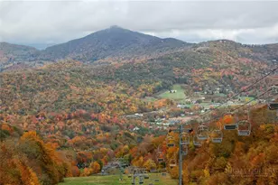 335 Pleasant View Dr, Sugar Mountain, NC 28604 - Photo 47