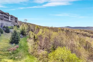 335 Pleasant View Dr, Sugar Mountain, NC 28604 - Photo 33