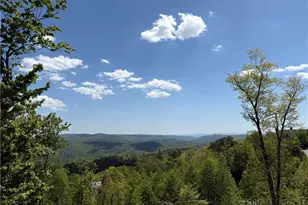 369 Ninebark Rd, Boone, NC 28607 - Photo 5