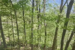 150 Margo Trail, Boone, NC 28607 - Photo 15