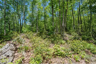 0 Beaver Dam Road, Elk Park, NC 28622 - Photo 3