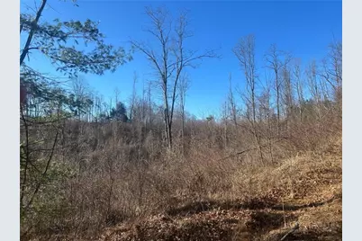 7889 Old Highway 16, Crumpler, NC 28617 - Photo 3