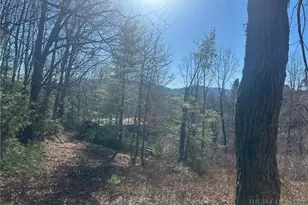7889 Old Hwy 16, Crumpler, NC 28617 - Photo 1