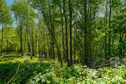 Lot 86 Featherwood Trail, Banner Elk, NC 28604 - Photo 35