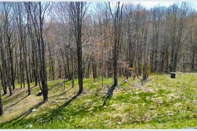 Lot 86 Featherwood Trail, Banner Elk, NC 28604 - Photo 5