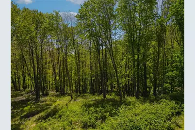 Lot 86 Featherwood Trail, Banner Elk, NC 28604 - Photo 33