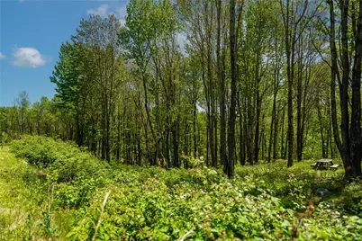 Lot 86 Featherwood Trail, Banner Elk, NC 28604 - Photo 39