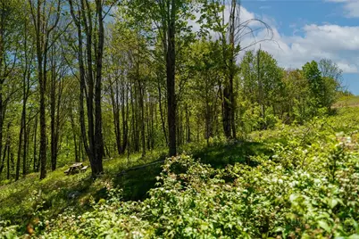 Lot 86 Featherwood Trail, Banner Elk, NC 28604 - Photo 41