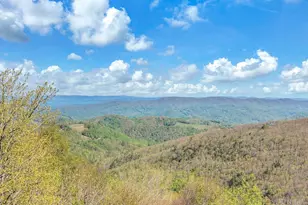 124 W Blueberry Ln, Beech Mountain, NC 28604 - Photo 5