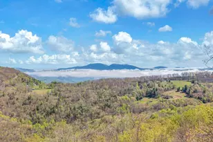 124 W Blueberry Ln, Beech Mountain, NC 28604 - Photo 3