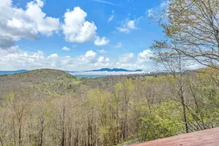 124 W Blueberry Ln, Beech Mountain, NC 28604 - Photo 49