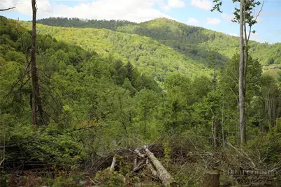 461 Reuben Wooten Road, Banner Elk, NC 28604 - Photo 39