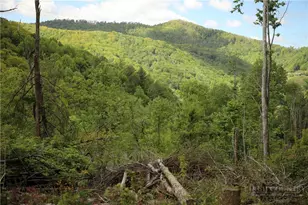 461 Reuben Wooten Rd, Banner Elk, NC 28604 - Photo 39
