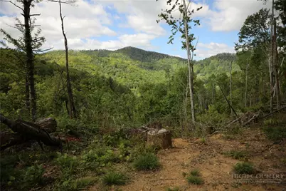 461 Reuben Wooten Road, Banner Elk, NC 28604 - Photo 35