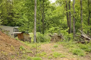461 Reuben Wooten Rd, Banner Elk, NC 28604 - Photo 37