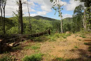 461 Reuben Wooten Rd, Banner Elk, NC 28604 - Photo 1