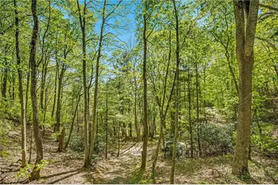 0 Mile High Lake Road, West Jefferson, NC 28694 - Photo 25
