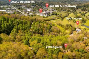 239 Eagle Dr, Boone, NC 28607 - Photo 3