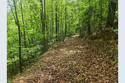 3924 Pearson Mountain Road, Boomer, NC 28606 - Photo 37