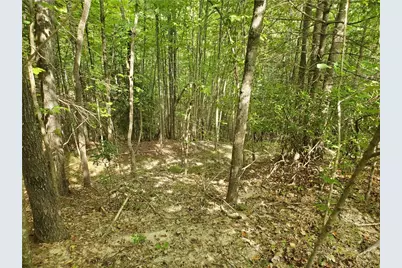 3924 Pearson Mountain Road, Boomer, NC 28606 - Photo 19