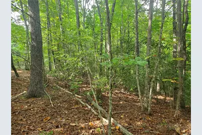 3924 Pearson Mountain Road, Boomer, NC 28606 - Photo 27
