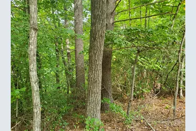 3924 Pearson Mountain Road, Boomer, NC 28606 - Photo 21