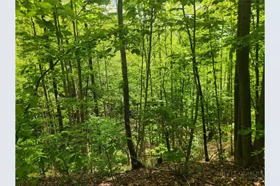 3924 Pearson Mountain Road, Boomer, NC 28606 - Photo 35