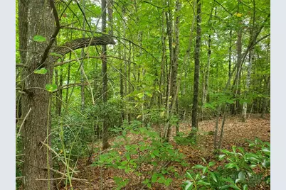 3924 Pearson Mountain Road, Boomer, NC 28606 - Photo 23