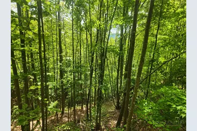 3924 Pearson Mountain Road, Boomer, NC 28606 - Photo 33