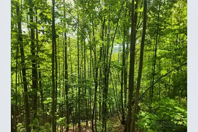 3924 Pearson Mountain Road, Boomer, NC 28606 - Photo 31