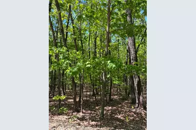 Tbd Raven Ridge Trail, Dobson, NC 27017 - Photo 3