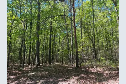 Tbd Raven Ridge Trail, Dobson, NC 27017 - Photo 13