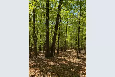 Tbd Raven Ridge Trail, Dobson, NC 27017 - Photo 15
