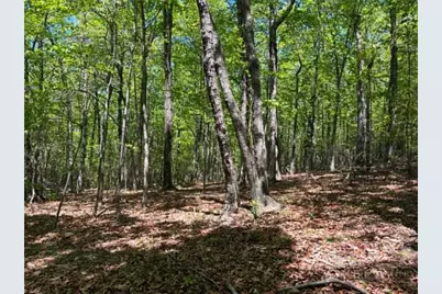 Tbd Raven Ridge Trail, Dobson, NC 27017 - Photo 5