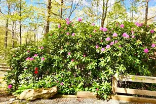 88 Ash Loop, Newland, NC 28657 - Photo 45