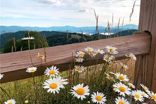 174 Winter Park Trail, Beech Mountain, NC 28604 - Photo 27