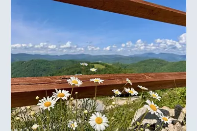 174 Winter Park Trail, Beech Mountain, NC 28604 - Photo 31
