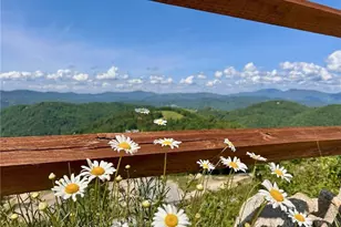 174 Winter Park Trail, Beech Mountain, NC 28604 - Photo 31