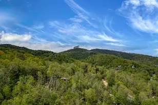 110 Forest Run, Sugar Mountain, NC 28604 - Photo 31