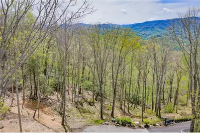 S105 Talon Trail, Banner Elk, NC 28604 - Photo 5