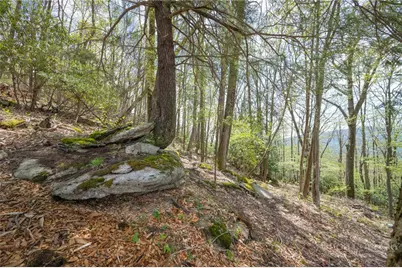 S105 Talon Trail, Banner Elk, NC 28604 - Photo 11