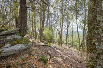 S105 Talon Trail, Banner Elk, NC 28604 - Photo 13