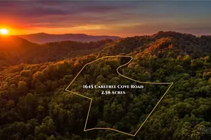 1645 Carefree Cove, Zionville, NC 28698 - Photo 45