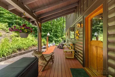 1645 Carefree Cove, Zionville, NC 28698 - Photo 3