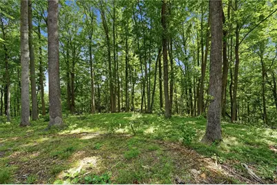 Lot 46 Poplar Forest Drive, Boone, NC 28607 - Photo 15