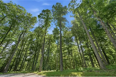 Lot 46 Poplar Forest Drive, Boone, NC 28607 - Photo 13