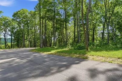 Lot 46 Poplar Forest Drive, Boone, NC 28607 - Photo 19